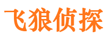 金川侦探